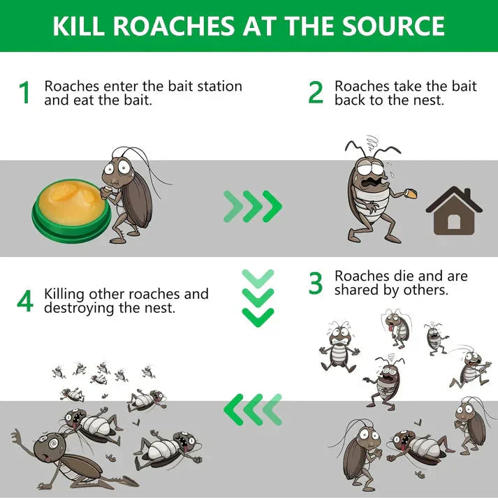 Cockroach Killer Gel